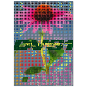 2b490a37-2f23-40df-92a1-ef71ece6ba3f