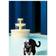 2f42a1ec-4795-488c-bfb6-aa1f63f2d0d3