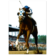 40bca324-d966-4f5f-abaa-eac19769d251