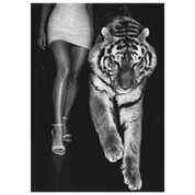 6ef79576-8033-4021-a5c9-3464b19895b0