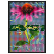 883b7ad4-e4aa-4caa-8b56-7f312db5c6ce