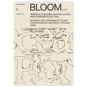 Bloom (Light)