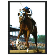 da10387c-93f6-45c6-81a6-c75c82449876