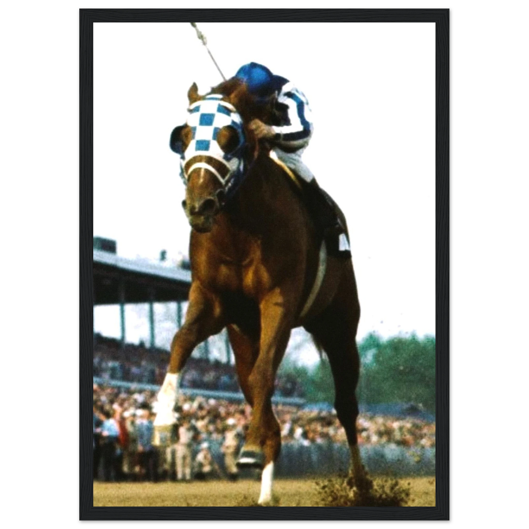 da10387c-93f6-45c6-81a6-c75c82449876