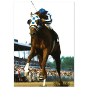 fea4ceff-2a91-4711-98ba-d3135d1745fe